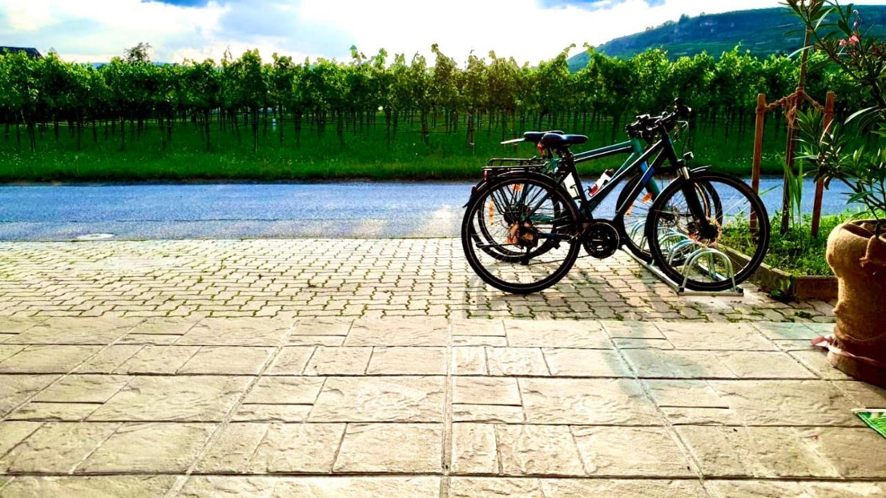 Landhaus Weinblick Rohrendorf bei Krems Ngoại thất bức ảnh