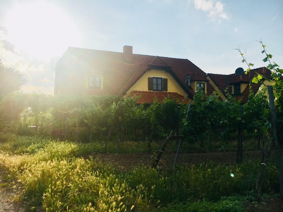 Landhaus Weinblick Rohrendorf bei Krems Ngoại thất bức ảnh
