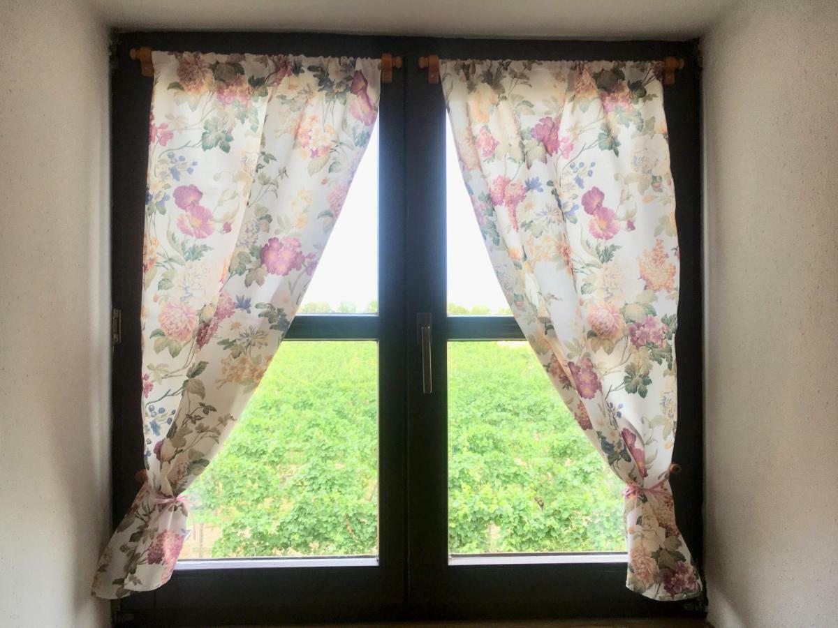 Landhaus Weinblick Rohrendorf bei Krems Ngoại thất bức ảnh
