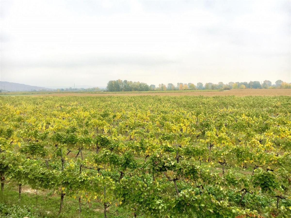 Landhaus Weinblick Rohrendorf bei Krems Ngoại thất bức ảnh